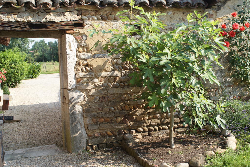 مبيت وإفطار فيارْيا Le Moulin De Champagne المظهر الخارجي الصورة