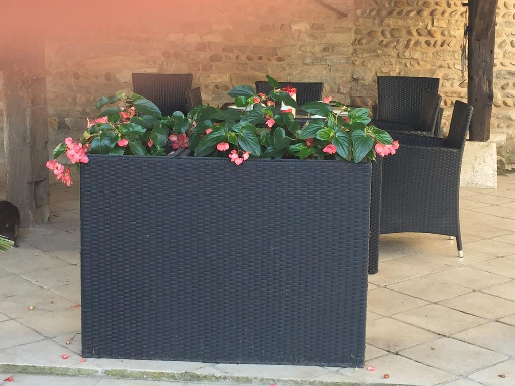 مبيت وإفطار فيارْيا Le Moulin De Champagne المظهر الخارجي الصورة